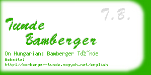 tunde bamberger business card